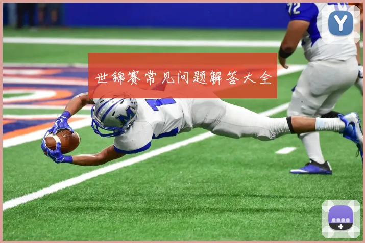 世锦赛常见问题解答大全
