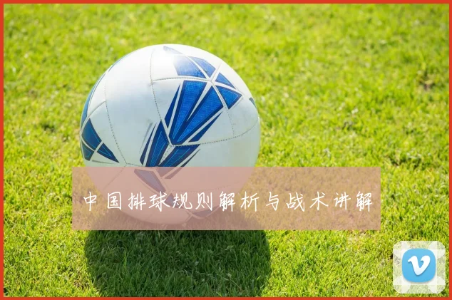 中国排球规则解析与战术讲解